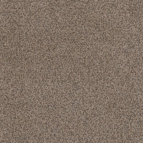 Dreamweaver Carpet Step Two Fawn Carpet 4162_767
