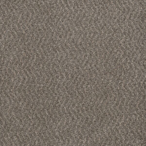 Dreamweaver Carpet Step Two Ironclad Carpet 4162_783