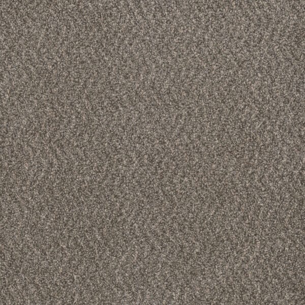 Dreamweaver Carpet Step Two Ironclad Carpet 4162_783