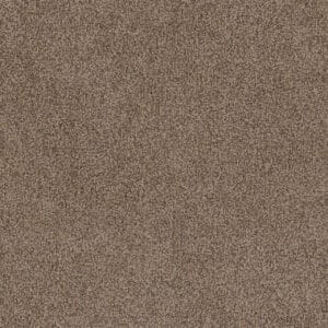 Dreamweaver Carpet Step Two Esteem Carpet 4162_827