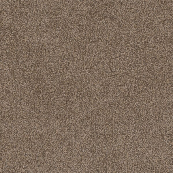 Dreamweaver Carpet Step Two Esteem Carpet 4162_827