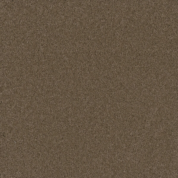 Dreamweaver Carpet Lavish I Mink Carpet 4245_515