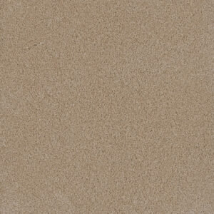 Dreamweaver Carpet Lavish I Blush Carpet 4245_735