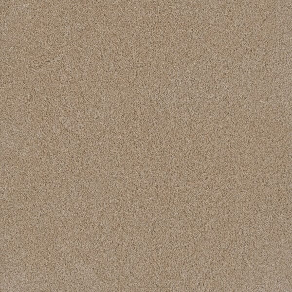 Dreamweaver Carpet Lavish I Blush Carpet 4245_735