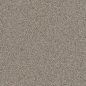 Dreamweaver Carpet Lavish I Parchment Carpet 4245_744