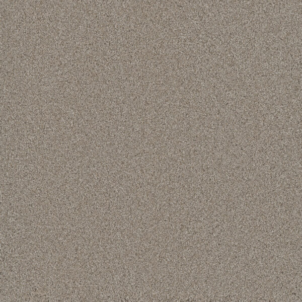 Dreamweaver Carpet Lavish II Parchment Carpet 4265_744