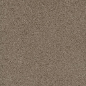 Dreamweaver Carpet Lavish I Taupe Carpet 4245_777