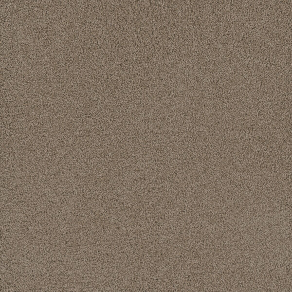 Dreamweaver Carpet Lavish I Taupe Carpet 4245_777
