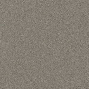 Dreamweaver Carpet Lavish I Dove Carpet 4245_800