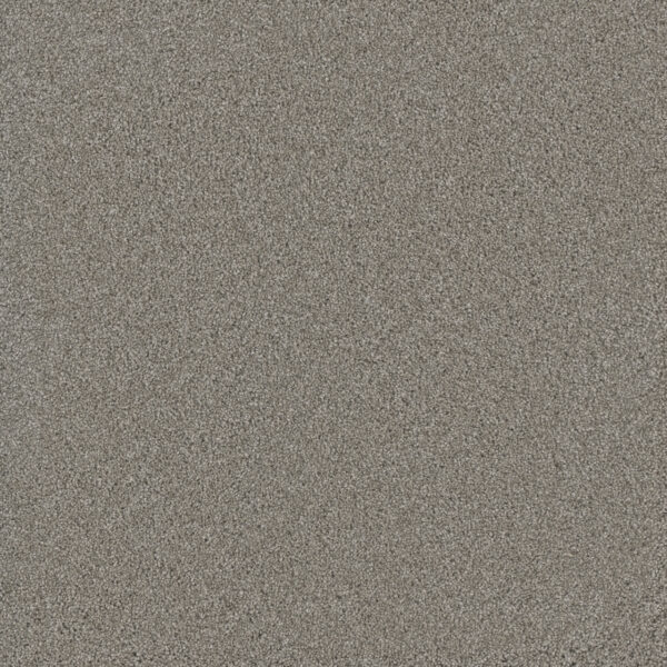 Dreamweaver Carpet Lavish I Dove Carpet 4245_800
