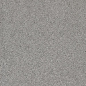 Dreamweaver Carpet Lavish I Morning Dove Carpet 4245_813