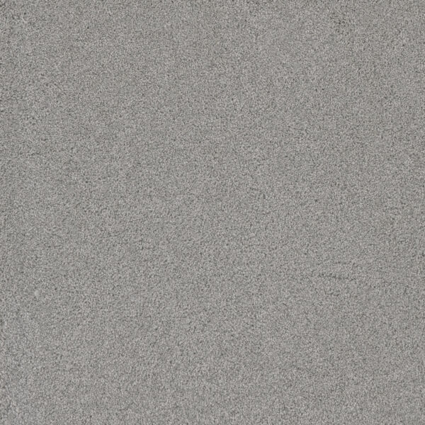 Dreamweaver Carpet Lavish I Morning Dove Carpet 4245_813