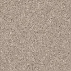 Dreamweaver Carpet Lavish I Dusk Carpet 4245_820