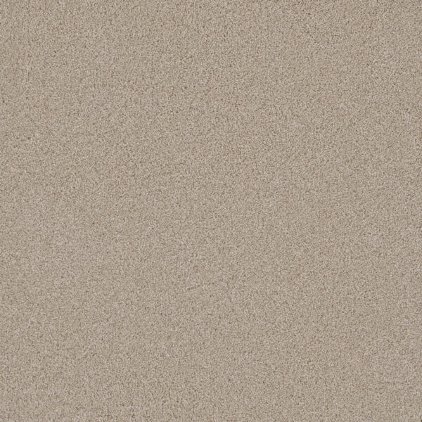 Dreamweaver Carpet Lavish I Dusk Carpet 4245_820