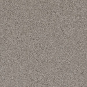 Dreamweaver Carpet Lavish I Acadia Carpet 4245_828