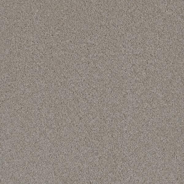 Dreamweaver Carpet Lavish II Acadia Carpet 4265_828