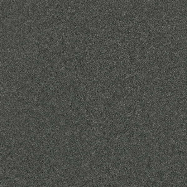 Dreamweaver Carpet Lavish I Pewter Carpet 4245_890