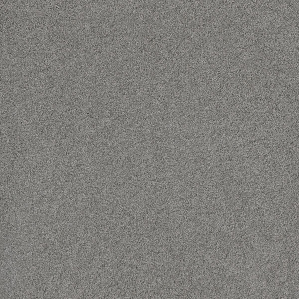 Dreamweaver Carpet Lavish I Icicle Carpet 4245_910
