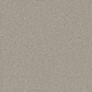 Dreamweaver Carpet Lavish I Andes Carpet 4245_924