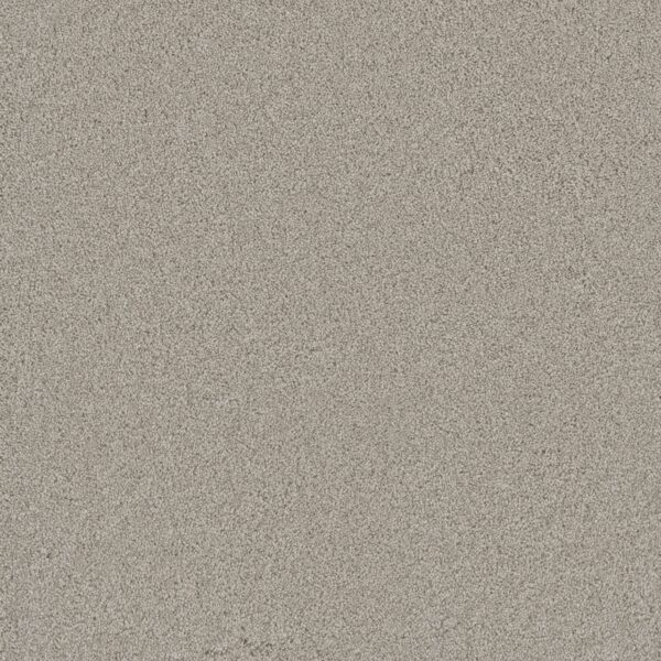 Dreamweaver Carpet Lavish II Andes Carpet 4265_924