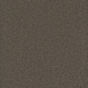 Dreamweaver Carpet Lavish I Riverbed Carpet 4245_955