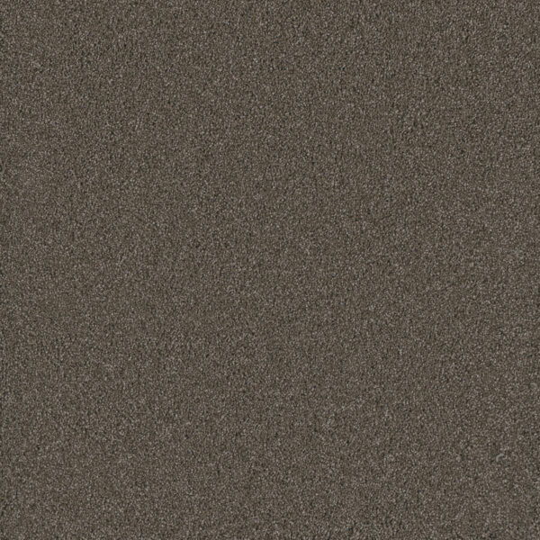 Dreamweaver Carpet Lavish II Riverbed Carpet 4265_955