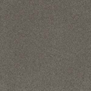 Dreamweaver Carpet Lavish I Raintree Carpet 4245_981