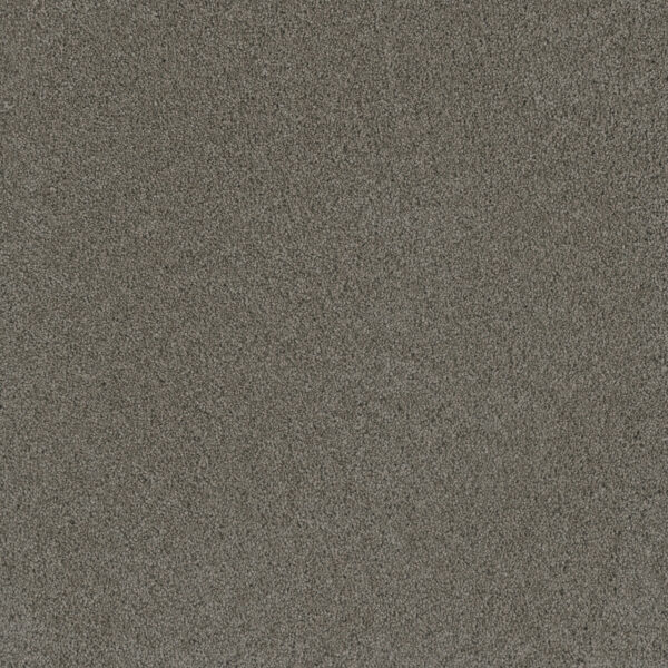 Dreamweaver Carpet Lavish II Raintree Carpet 4265_981