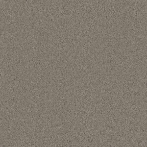 Dreamweaver Carpet Lavish I Stonebriar Carpet 4245_992