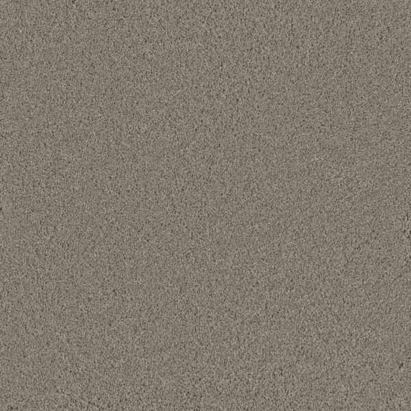 Dreamweaver Carpet Lavish I Stonebriar Carpet 4245_992
