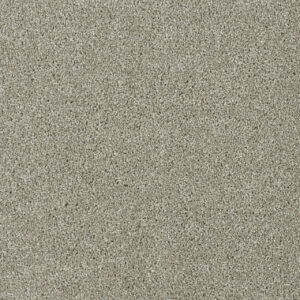Dreamweaver Carpet Yellowstone Jet Stream Carpet 4330_200