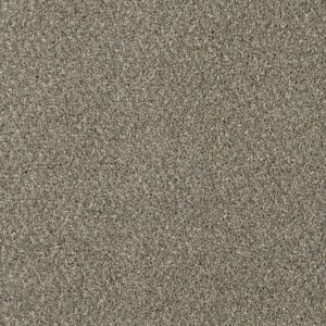 Dreamweaver Carpet Yellowstone Smooth Sailing Carpet 4330_641