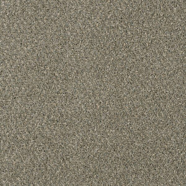 Dreamweaver Carpet Yellowstone Smooth Sailing Carpet 4330_641
