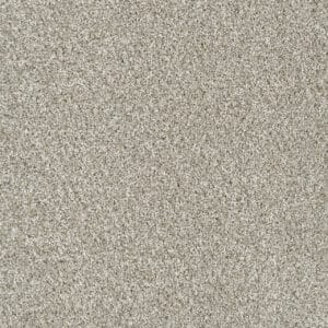 Dreamweaver Carpet Yellowstone Winterbrooke Carpet 4330_898