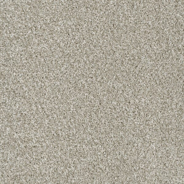 Dreamweaver Carpet Yellowstone Winterbrooke Carpet 4330_898