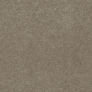 Dreamweaver Carpet Rock Solid I Cashew Carpet 4345_530
