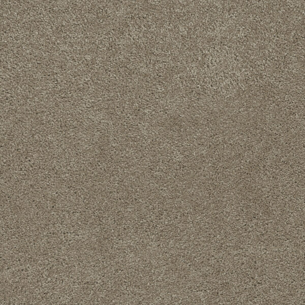 Dreamweaver Carpet Rock Solid I Cashew Carpet 4345_530