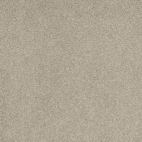 Dreamweaver Carpet Rock Solid I Cream Carpet 4345_580