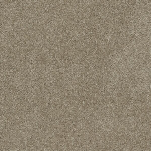 Dreamweaver Carpet Rock Solid I Buff Carpet 4345_720