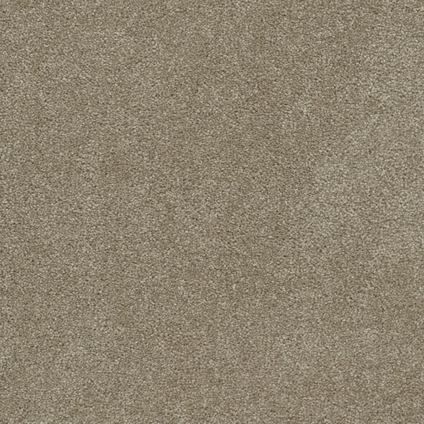 Dreamweaver Carpet Rock Solid I Buff Carpet 4345_720