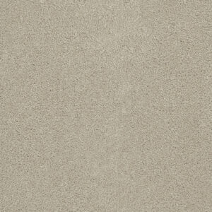 Dreamweaver Carpet Rock Solid I Ivory Carpet 4345_730