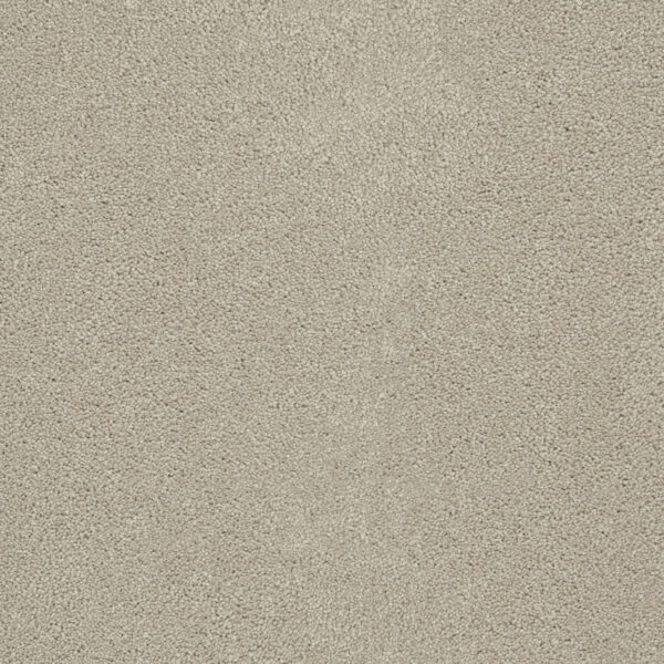 Dreamweaver Carpet Rock Solid I Ivory Carpet 4345_730