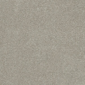 Dreamweaver Carpet Rock Solid I Parchment Carpet 4345_744