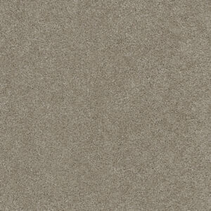Dreamweaver Carpet Rock Solid I Warm Teak Carpet 4345_784