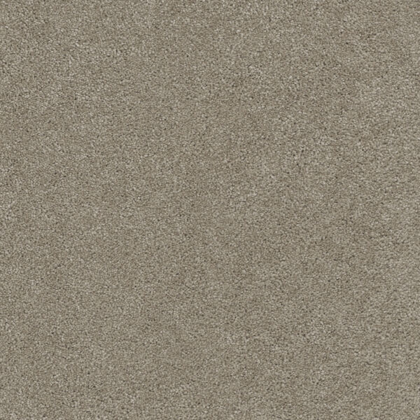 Dreamweaver Carpet Rock Solid I Warm Teak Carpet 4345_784