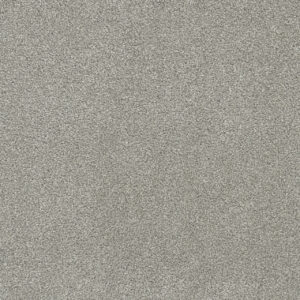 Dreamweaver Carpet Rock Solid I Dove Carpet 4345_800