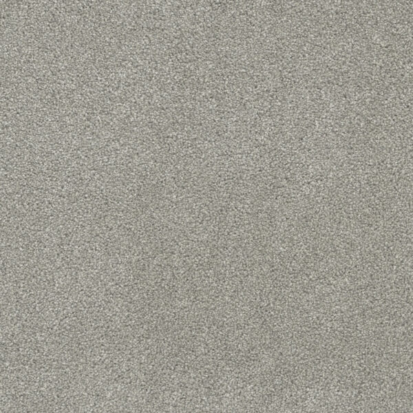 Dreamweaver Carpet Rock Solid I Dove Carpet 4345_800
