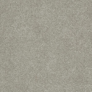 Dreamweaver Carpet Rock Solid I Silver Lining Carpet 4345_830