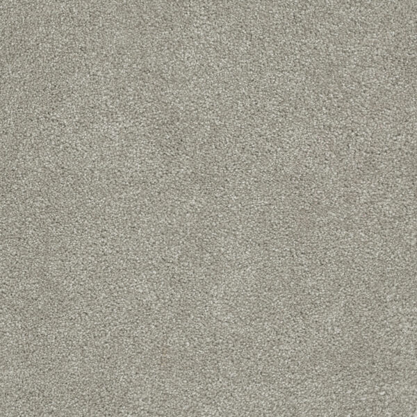 Dreamweaver Carpet Rock Solid III Silver Lining Carpet 4365_830