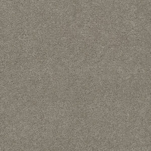 Dreamweaver Carpet Rock Solid II Soft Leather Carpet 4355_861